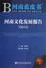 

河南文化发展报告（2013）