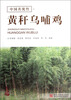 

中国名优竹：黄秆乌哺鸡
