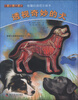 

有趣的透视立体书：透视奇妙的犬