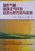 

凝析气藏循环注气开发动态分析方法与实践