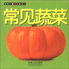 

聪明宝宝启蒙认知卡：常见蔬菜