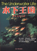 

水下王国（送给孩子最酷的读物）