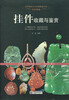 

怡情雅趣：挂件收藏与鉴赏/世界高端文化珍藏图鉴大系