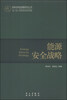 

国家发展战略研究丛书：能源安全战略