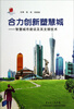 

高新技术科普丛书·合力创新塑慧城智慧城市建设及其支撑技术