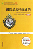 

钢铁是怎样炼成的（最新版）/语文新课标指定必读世界名著