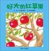 

信谊绘本宝宝起步走：好大的红苹果