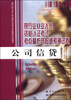 

银行业从业人员资格认证考试考点精析与权威预测试卷：公司信贷