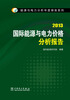 

能源与电力分析年度报告系列：2013国际能源与电力价格分析报告