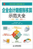 

企业会计明细账核算示范大全