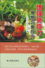 

增强免疫力食物与食疗方