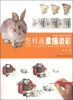 

素描表现技法系列怎样画素描淡彩