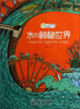 

化学课外科技活动