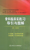 

骨科临床实践（习）导引与图解/全国高等学校国家级规划教材配套教材