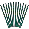 

China 101 2B drawing pencil / test pencil 12 pcs / box