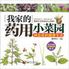 

我家的药用小菜园种出来的健康生活全彩