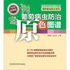 

葡萄病虫防治原色图谱