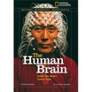 

The Human Brain