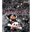 Celebrate Valentines Day huismerk kopen in de aanbieding Celebrate Valentines Day huismerk kopen in de aanbieding