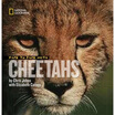 Face To With Cheetahs huismerk kopen in de aanbieding Face To With Cheetahs huismerk kopen in de aanbieding