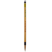 

Wu Jingsheng in the blue bamboo pen brush