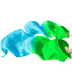 Yi Na Sheng Wu New Handmade Bamboo Ribs Dance Props Silk Belly Fans Natural Silk1Pc Left1 Pc Right Hand Dancing Greenturquoise yi na sheng wu kopen in de aanbieding Yi Na Sheng Wu New Handmade Bamboo Ribs Dance Props Silk Belly Fans Natural Silk1Pc Left1 Pc Right Hand Dancing Greenturquoise yi na sheng wu kopen in de aanbieding