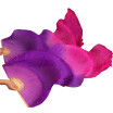 Yi Na Sheng Wu Newest Handmade Bamboo Ribs Dance Props Silk Belly Fans Natural Silk1Pc Left1Pc Right Purplerose yi na sheng wu kopen in de aanbieding Yi Na Sheng Wu Newest Handmade Bamboo Ribs Dance Props Silk Belly Fans Natural Silk1Pc Left1Pc Right Purplerose yi na sheng wu kopen in de aanbieding