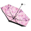Joy Collection Under The Banana Bananaunder Pocket Series Sun Umbrella Female Folding Uv 50 Percent Powder joy collection kopen in de aanbieding Joy Collection Under The Banana Bananaunder Pocket Series Sun Umbrella Female Folding Uv 50 Percent Powder joy collection kopen in de aanbieding