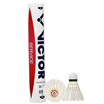 Joy Collection Victor Victory Golden Special Customized 77 Speed Red Practice Level Badminton Stable Resistance 12 Pack joy collection kopen in de aanbieding Joy Collection Victor Victory Golden Special Customized 77 Speed Red Practice Level Badminton Stable Resistance 12 Pack joy collection kopen in de aanbieding