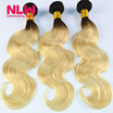 Nlw 10A Brazilian Virgin Human Hair 3 Bundles Body Wave Extensions Ombre T1B613 Color nlw kopen in de aanbieding Nlw 10A Brazilian Virgin Human Hair 3 Bundles Body Wave Extensions Ombre T1B613 Color nlw kopen in de aanbieding