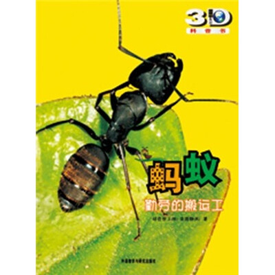 

蚂蚁：勤劳的搬运工