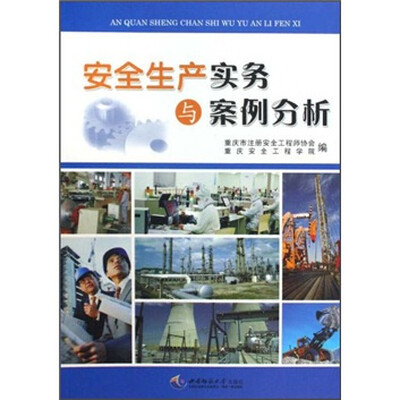 

安全生产实务与案例分析