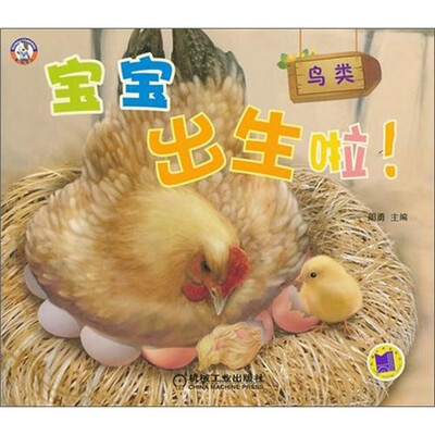 

宝宝出生啦！鸟类
