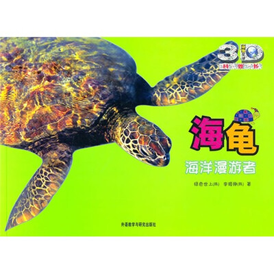 

海龟：海洋漫游者