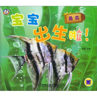 

宝宝出生啦！鱼类