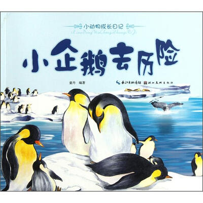 

小动物成长日记：小企鹅去历险