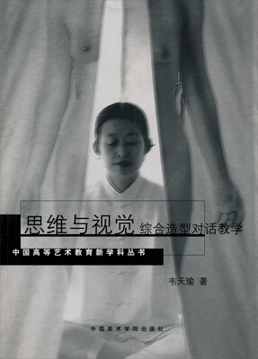 

中国高等艺术教育新学科丛书：思维与视觉·综合造型对话教学