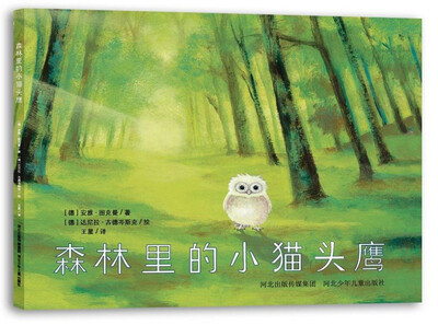 

森林里的小猫头鹰