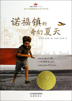 

国际大奖小说：诺福镇的奇幻夏天