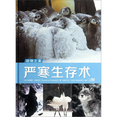 

动物之美：严寒生存术