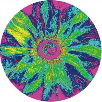 

Oil Painting Tapestry Round Abstract Colorful Beach Polyester Wall Throw Blankets