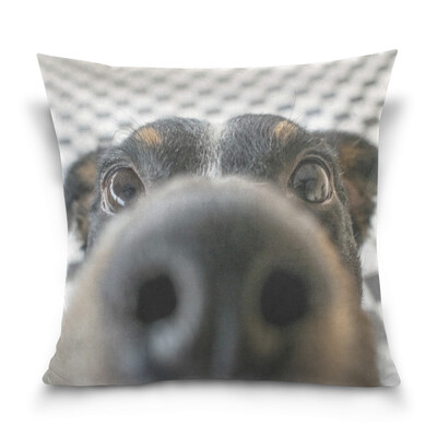 

ALAZA Throw Pillow Case Decorative Pillow Covers 16 X 16 inch Playful Dog Face Pattern Pillowcase
