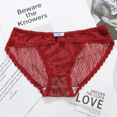 

Women Lace Transparent Panties Briefs Womens Jacquard Net Transparent Lace Underwear Mesh Yarn Lady Underwear Drop Ship