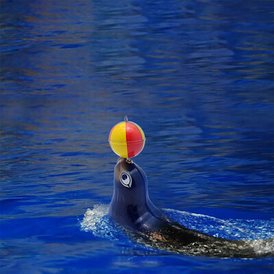 

YIWULATinplate Nostalgic Clockwork Chain Toy Photography Prop Sea lion