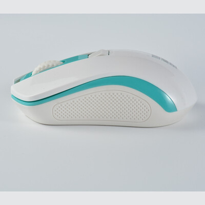 

Ruiding Wireless Mouse C500