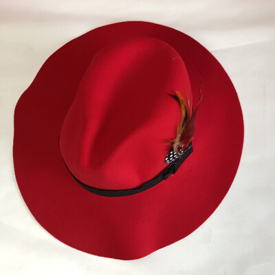 

Women Felt Feather Trilby Jazz Hat Woolen Pork Pie Hat Homburg Hat