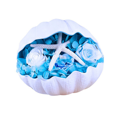 

Valentines Day Lovers Gift Rose Flower With Conch Shells Exquisite Durable Eternal Flower Box Preserved Flower