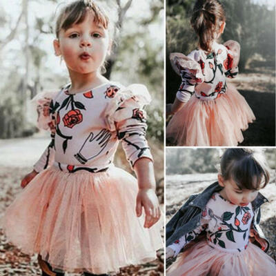 

US Toddler Kids Baby Girl Long Sleeve Flower Tulle Tutu Party Dress Clothes 2PCS