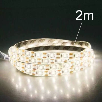 

LED Strip Light SMD2835 Strips Ice Blue Flexible High Brightness Outdoor Neon-Light Neon Sign Waterproof Soft Lamp Belt