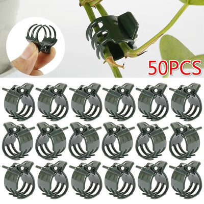 

50Pcs Large Plant Support Clips Garden Orchid Clips for Supporting Flower Plant Stem Vines